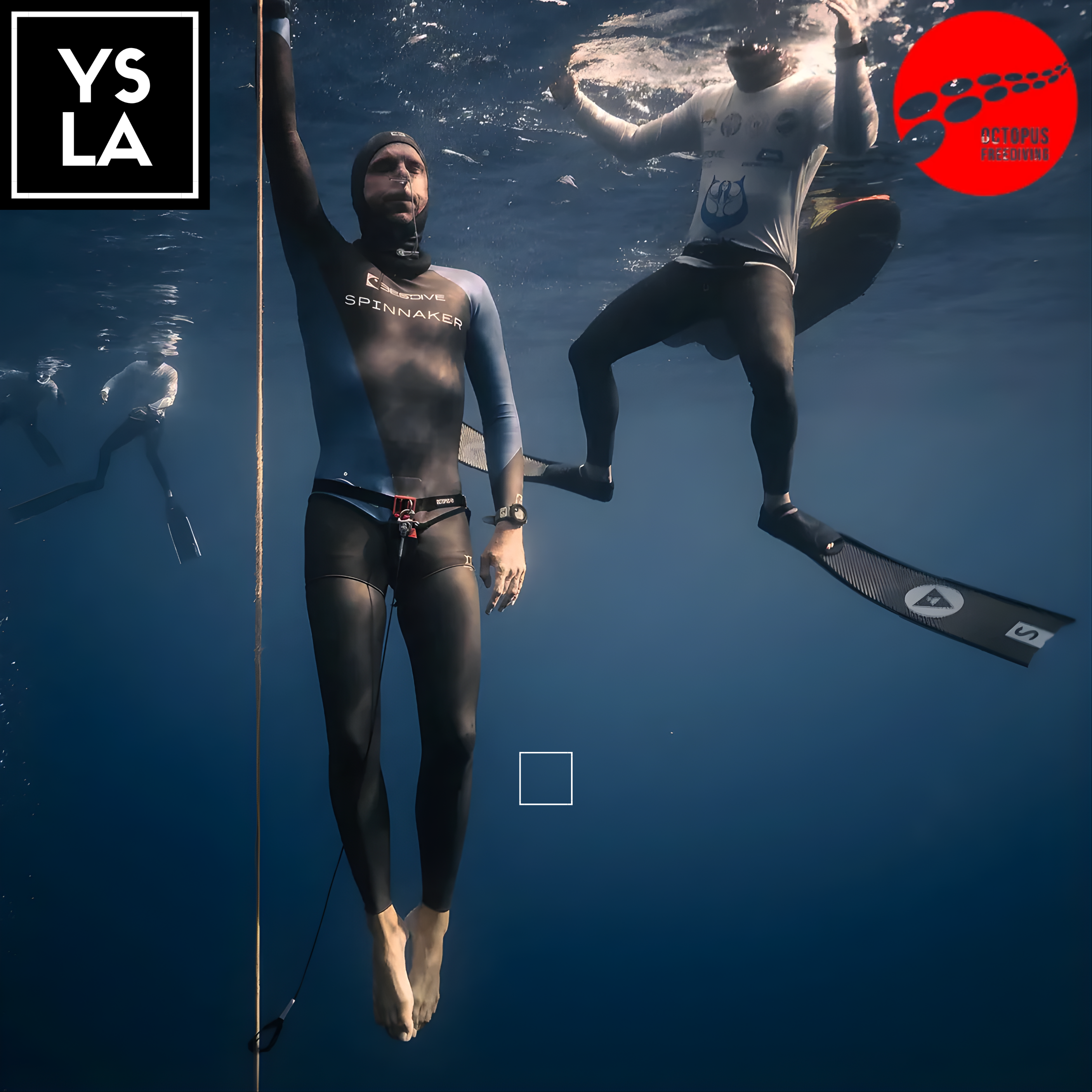 Octopus CNF Belt with Quick Release