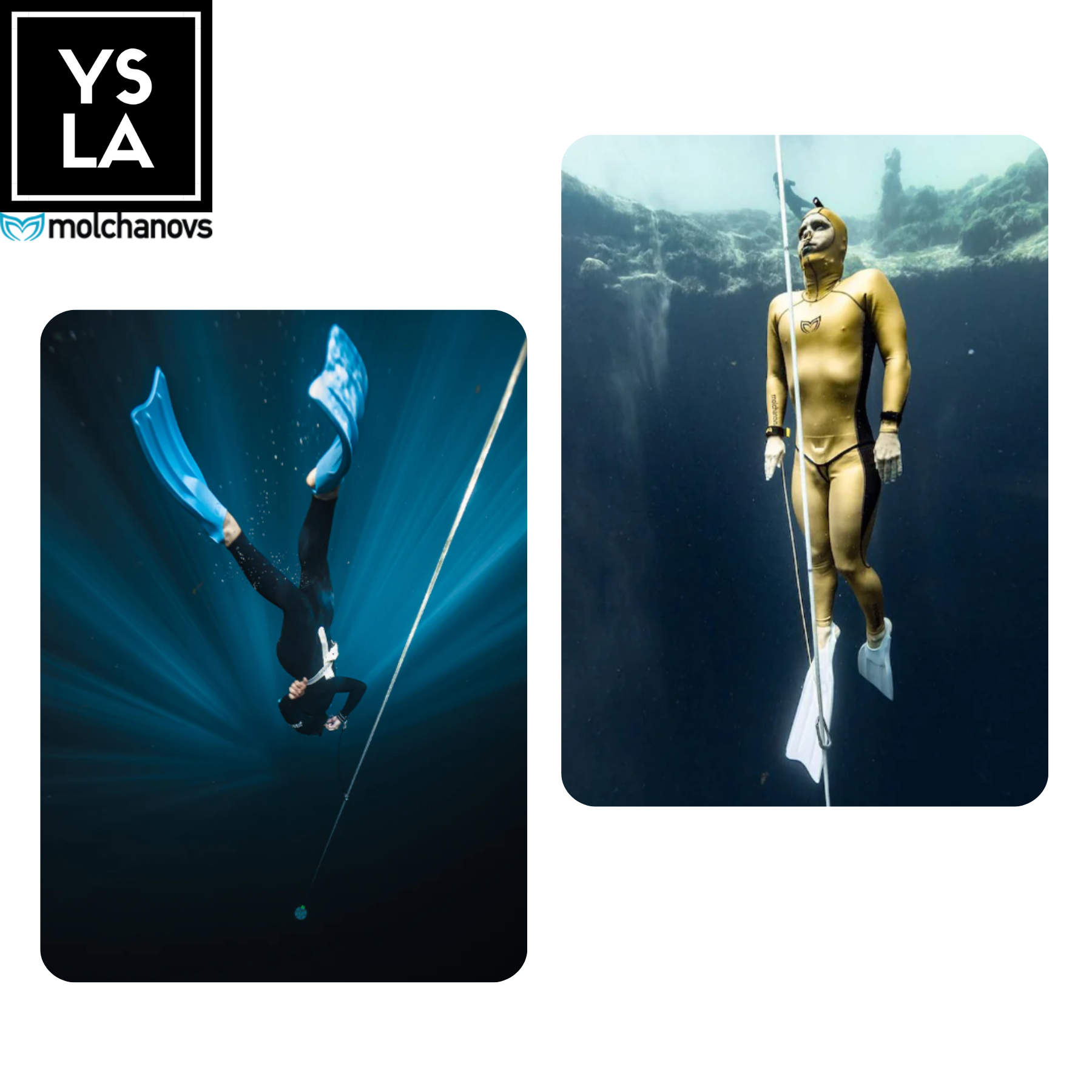 Molchanovs Core Silicone Short Bifins