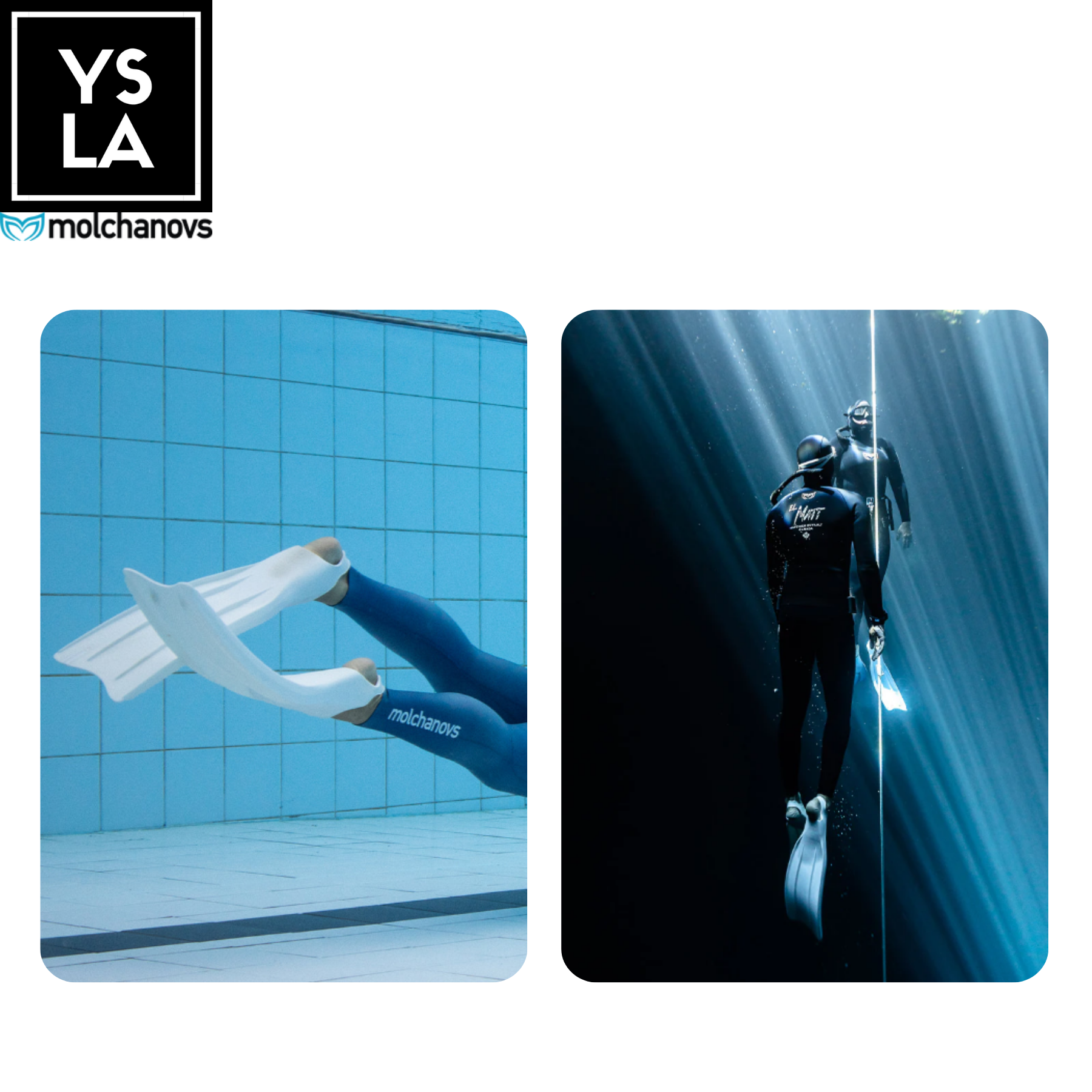 Molchanovs Core Silicone Short Bifins