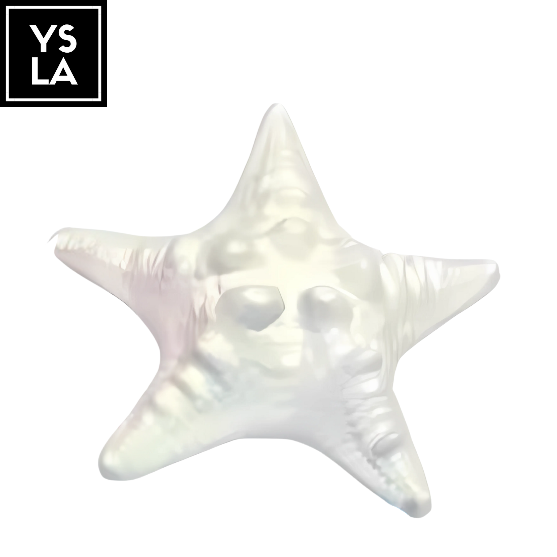 Stars and Shells Diving Belt Weights – Ysla Freediver Shop