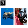 Molchanovs Core Freediving Mask Only