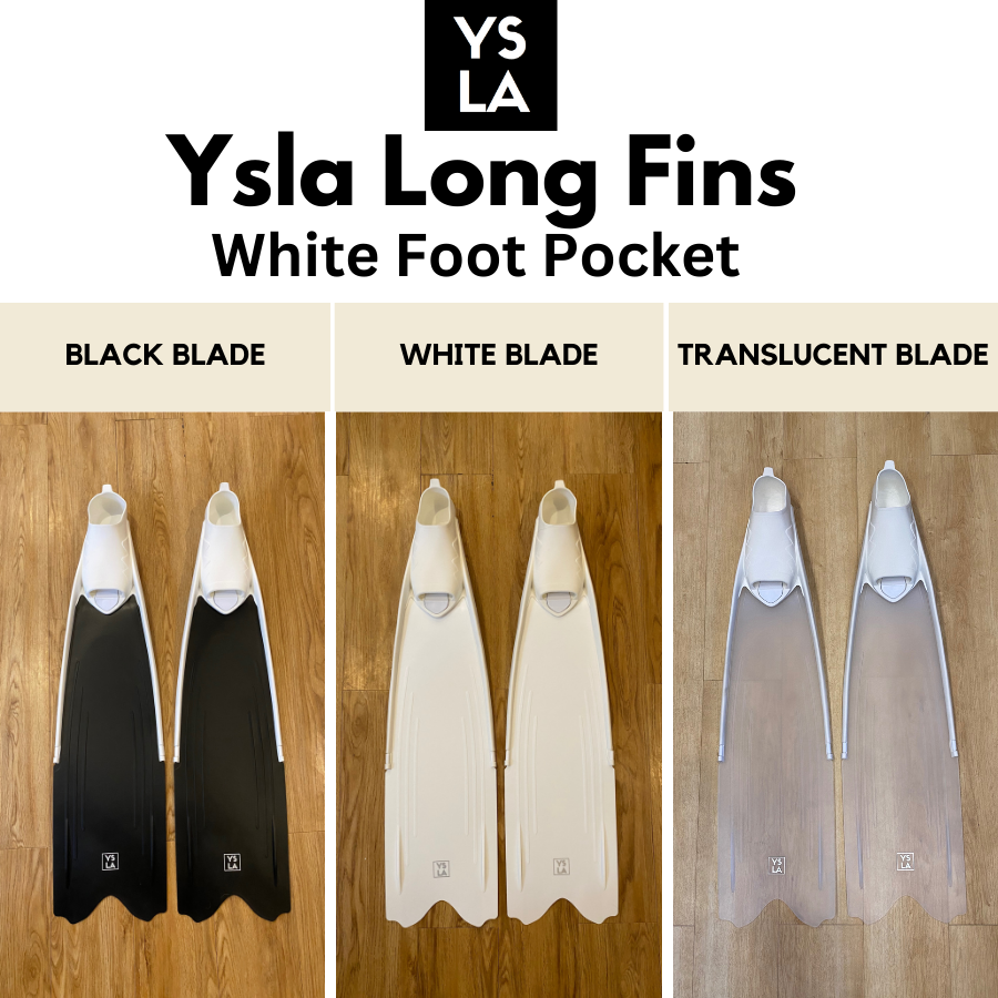 https://www.yslafreediver.com/cdn/shop/files/LongFins900px_4.png?v=1710487145