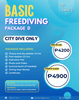 South Trench Basic Freediving: City Dive only (Private)